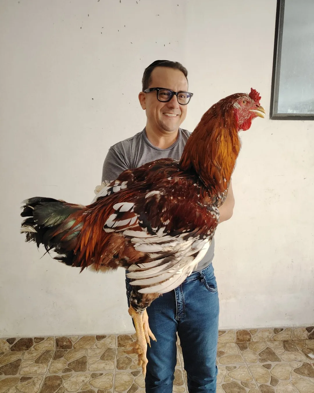 Gigante Colombiano